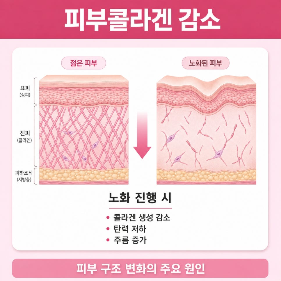 피부콜라겐주사 관련 이미지 2