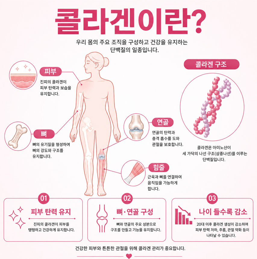 콜라겐많은음식 관련 이미지 3
