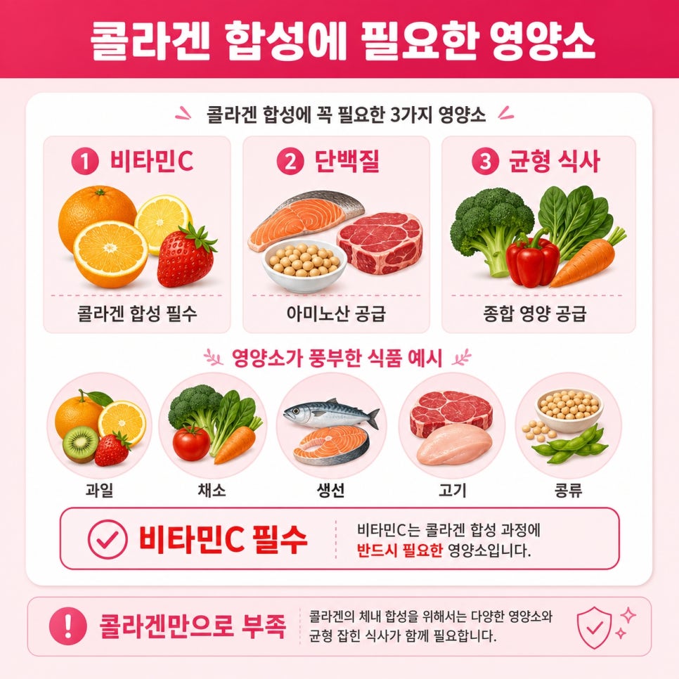 저분자콜라겐펩타이드 관련 이미지 10