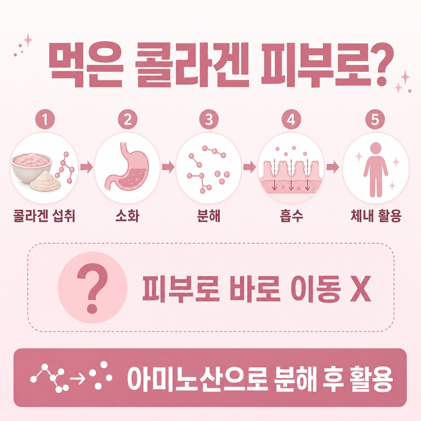 콜라겐많은음식 관련 이미지 10