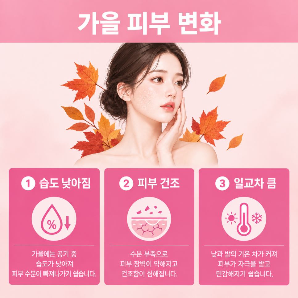 가을 피부과시술 관련 이미지 4