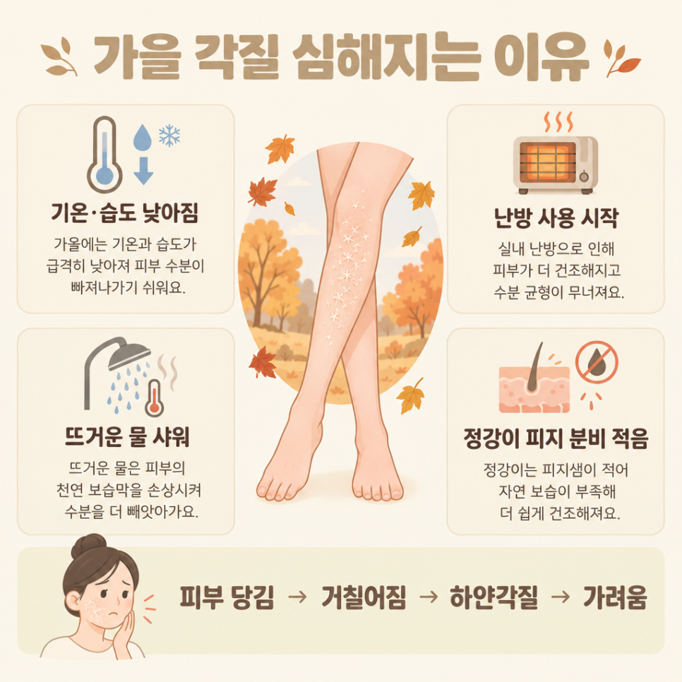 다리각질 관리 관련 이미지 4