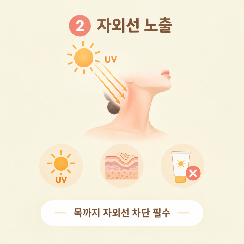 목주름관리법 관련 이미지 5