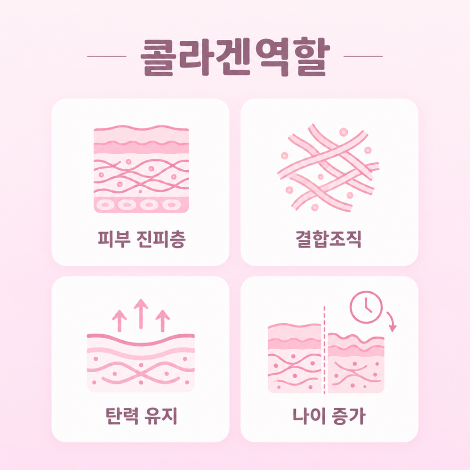 저분자 콜라겐 효능 관련 이미지 3