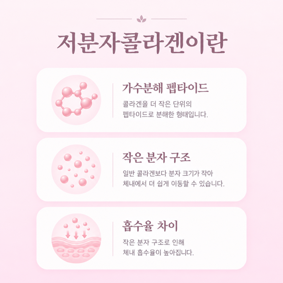 저분자 콜라겐 효능 관련 이미지 4