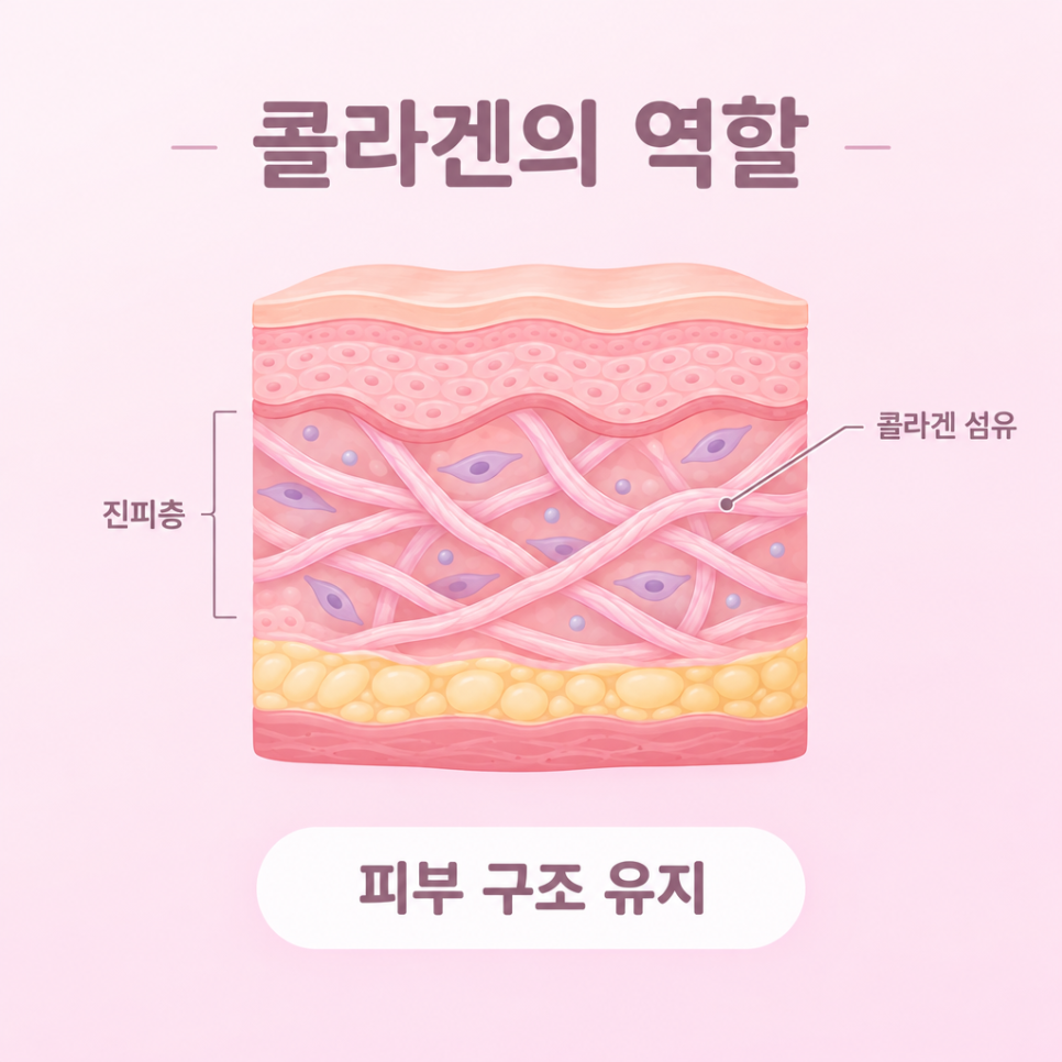 눈밑콜라겐주사 관련 이미지 5