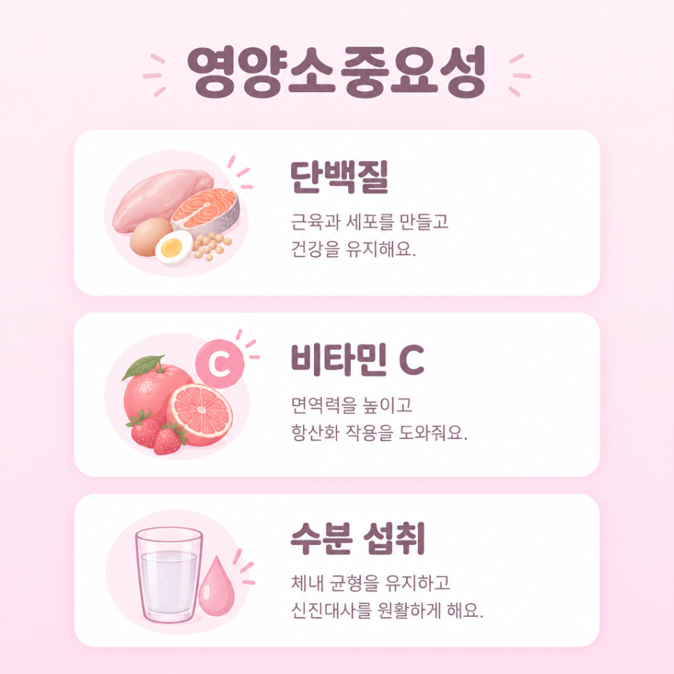 저분자 콜라겐 효능 관련 이미지 12